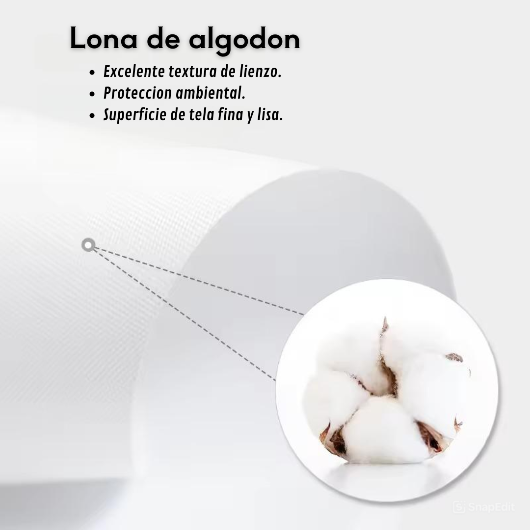 Poster de tu coche favorito